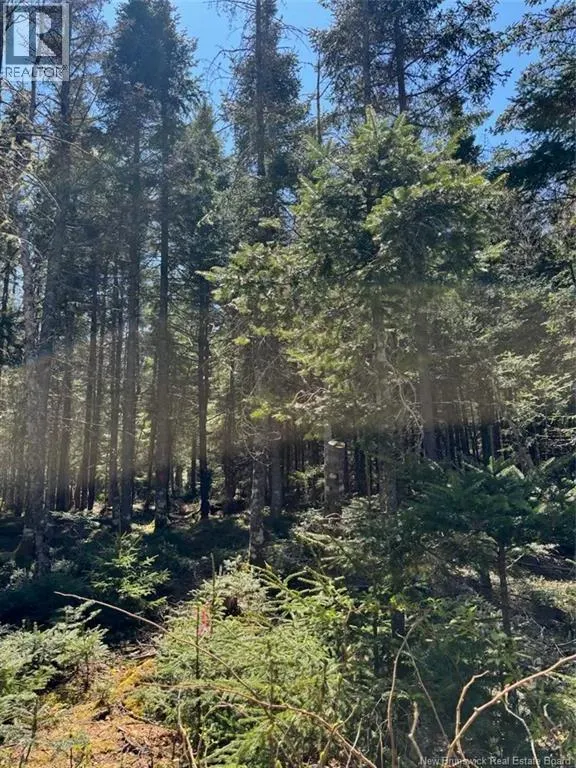 Lot 25-4 Peaceful Mountain Lane