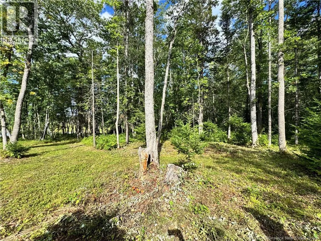 LOT LOWER COYTOWN Road