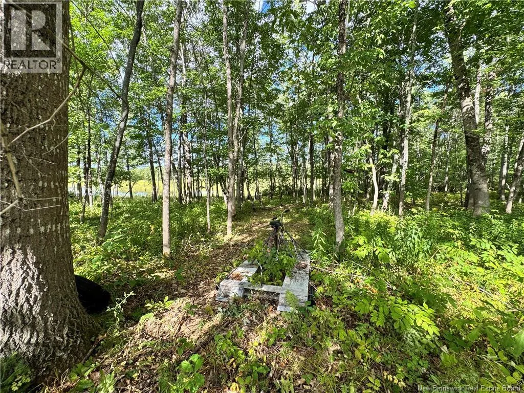 LOT LOWER COYTOWN Road