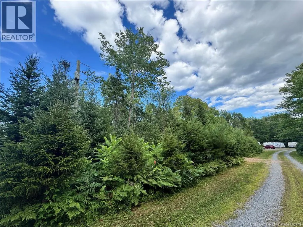 LOT LOWER COYTOWN Road