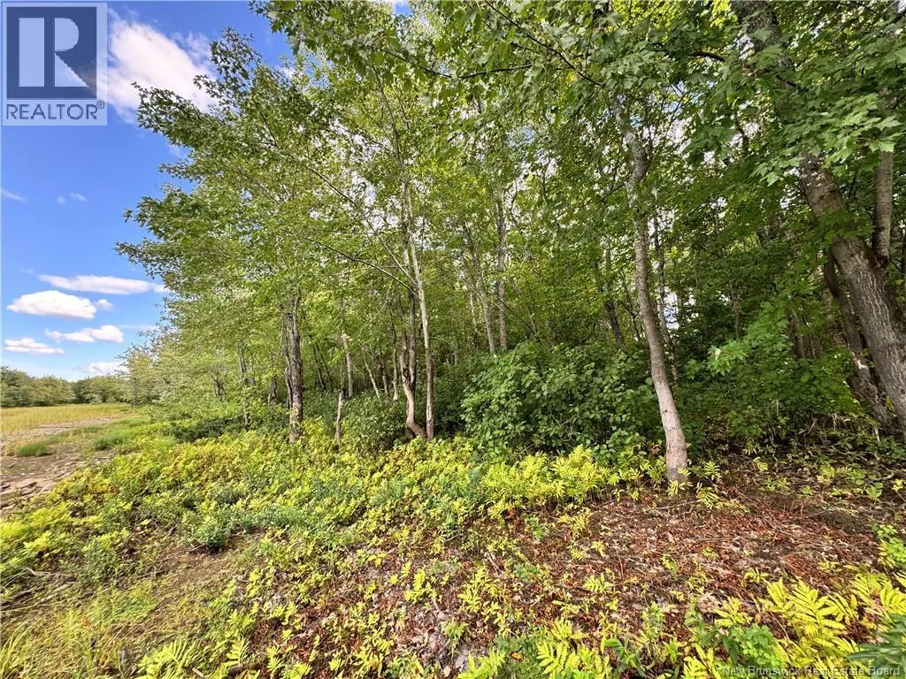 LOT LOWER COYTOWN Road