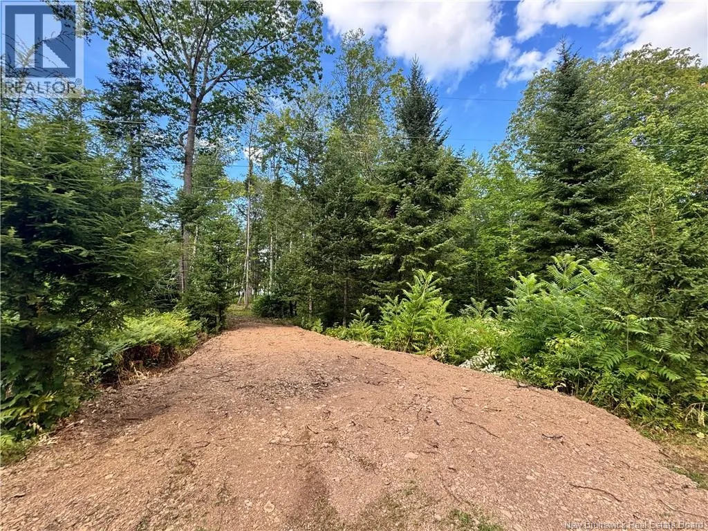 LOT LOWER COYTOWN Road