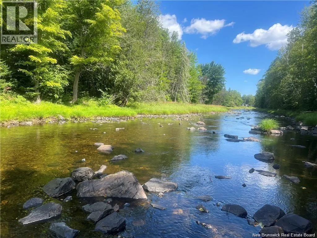 Middle River Road