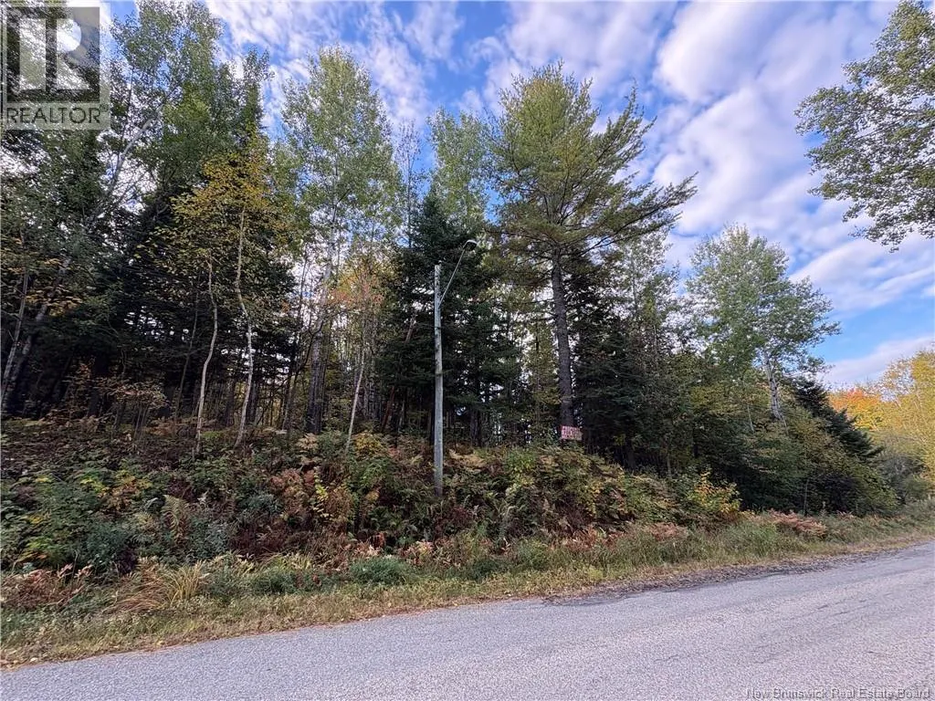 1.5 ACRES Boom Road