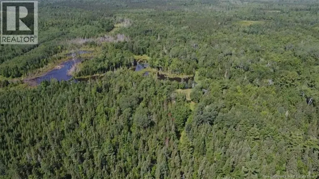 76.8 Acres Little River