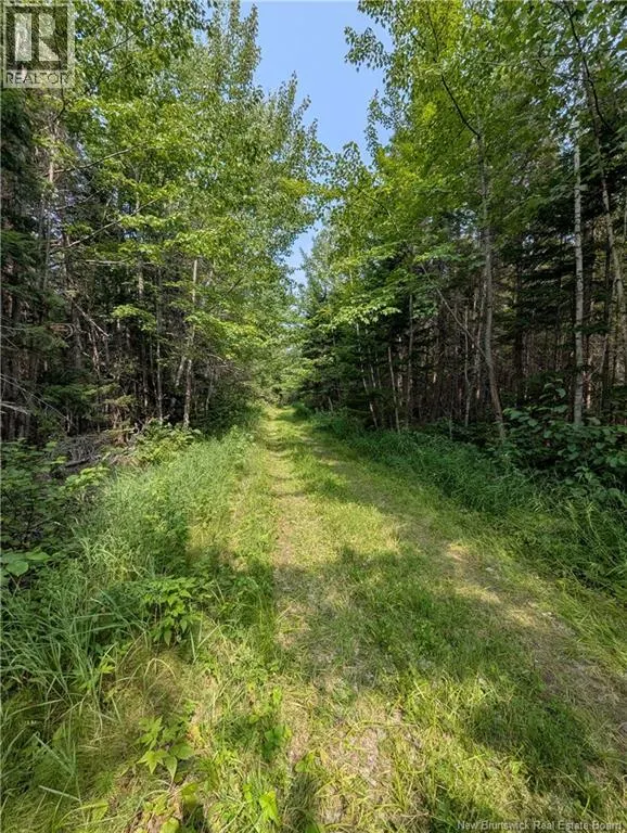76.8 Acres Little River
