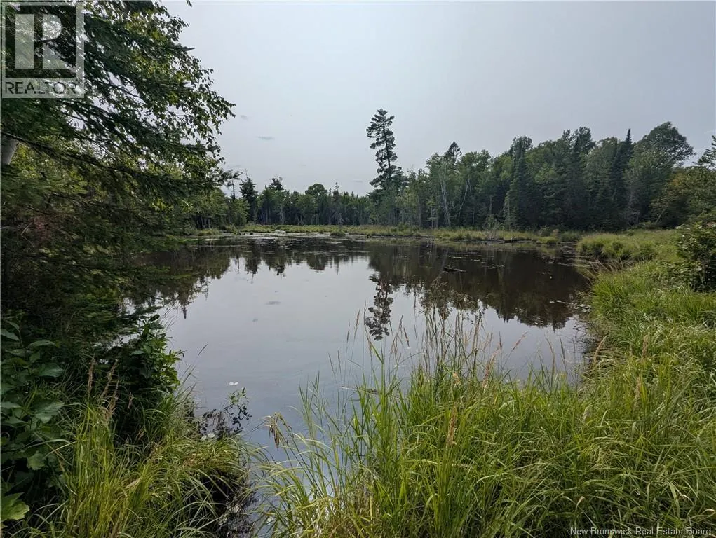 76.8 Acres Little River