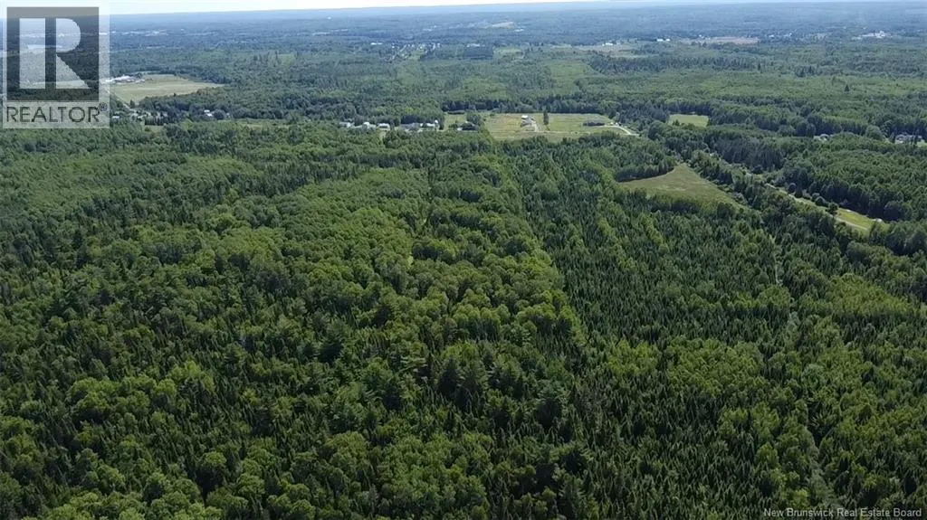76.8 Acres Little River