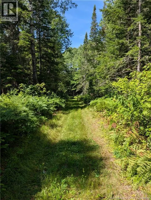 76.8 Acres Little River