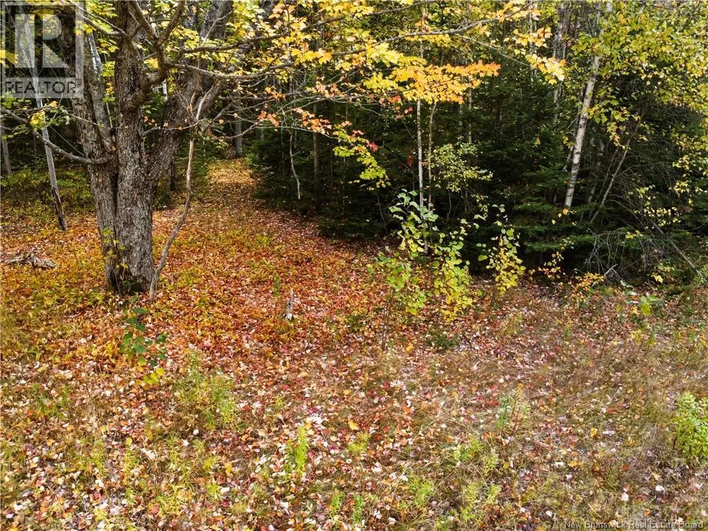 867 Pine Glen Road