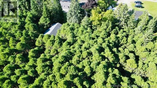 40 Lepage Street