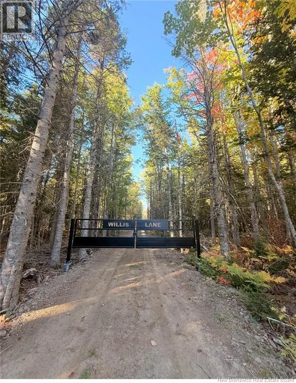 731 Pointe aux Carr Road