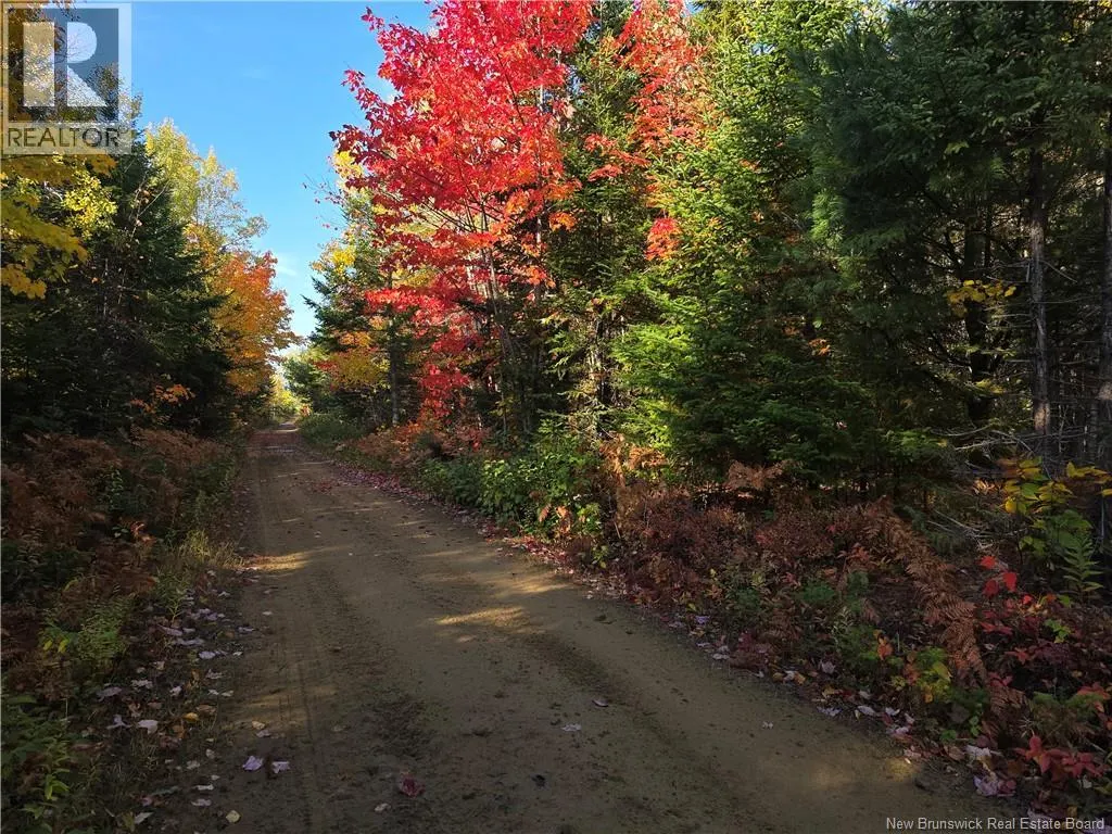 28 acres rue des Fondateurs