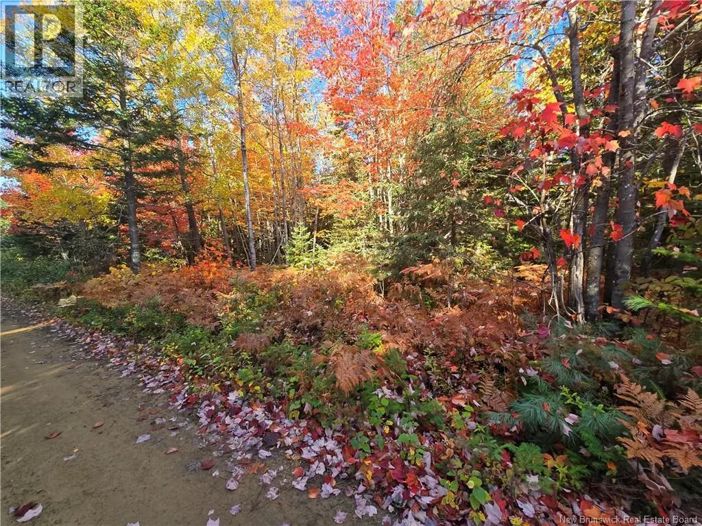 28 acres rue des Fondateurs