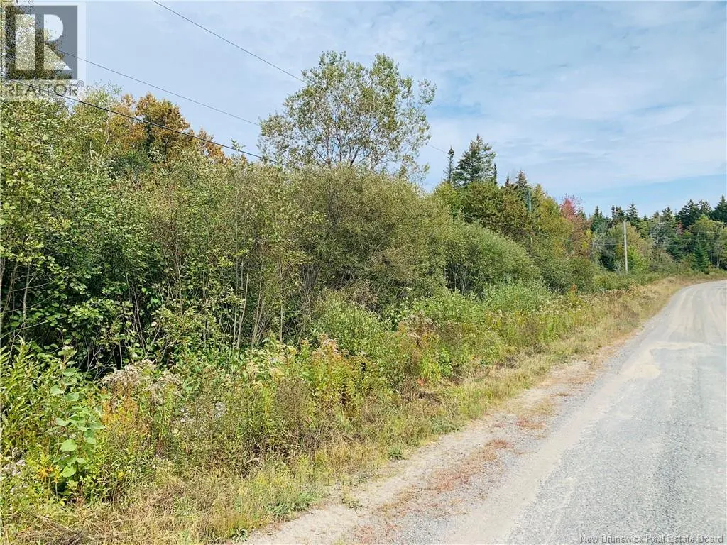 86-42 Hutchins Road
