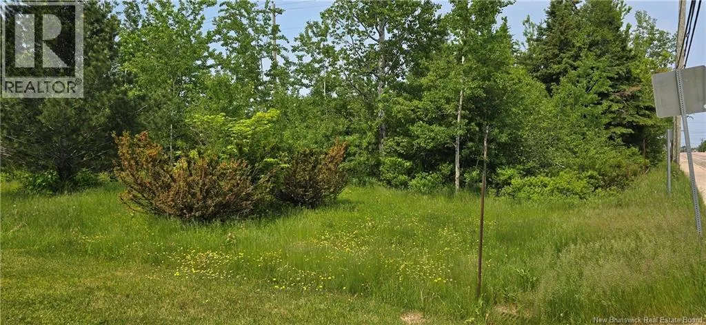 934 Hillsborough Road