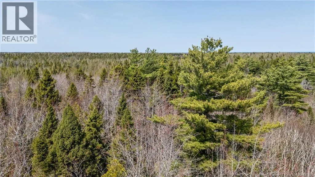1387 Bells Mills Road
