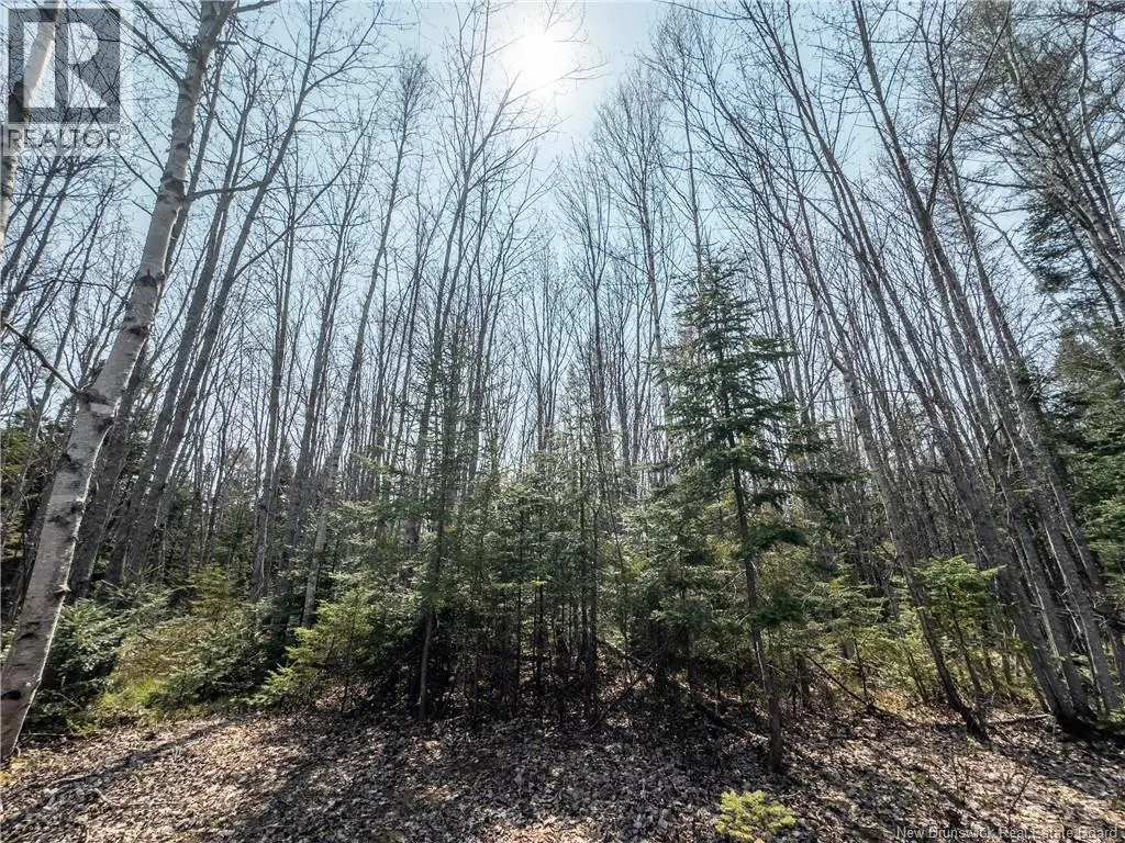 1387 Bells Mills Road