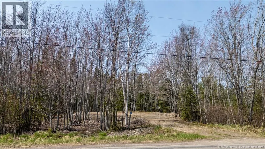 1387 Bells Mills Road