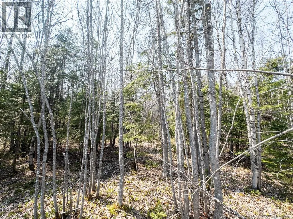 1387 Bells Mills Road