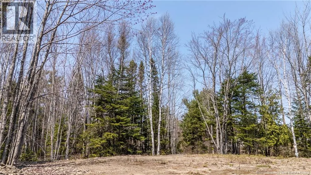 1387 Bells Mills Road