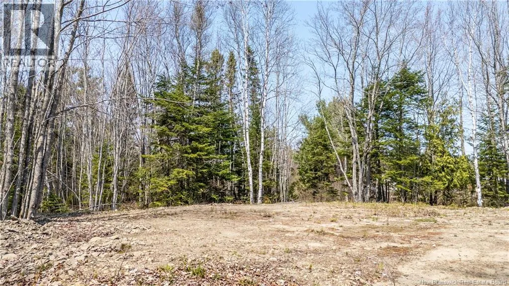 1387 Bells Mills Road