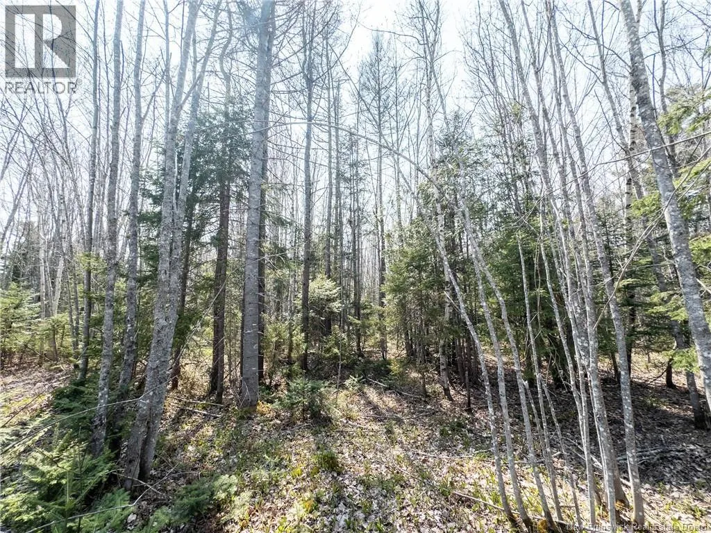 1387 Bells Mills Road