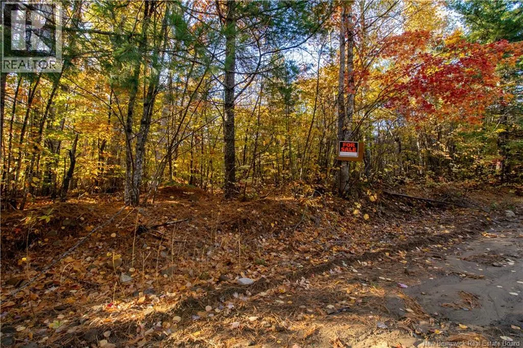 Lot Spring Road