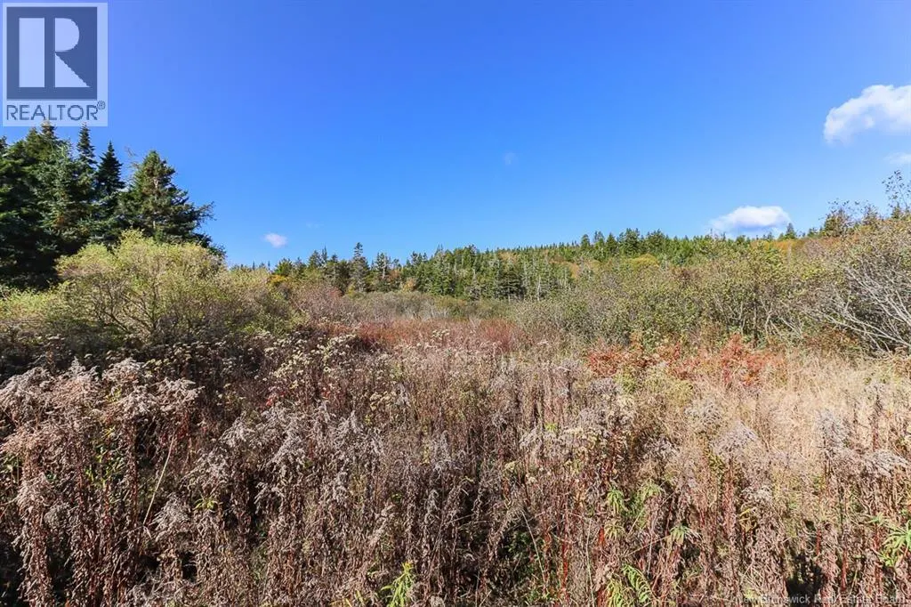 14 Old Black River Road
