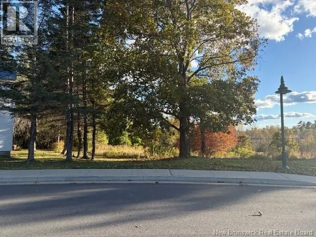 0 Elm Park