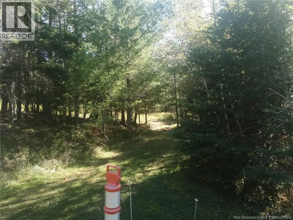 32 Moran Lane
