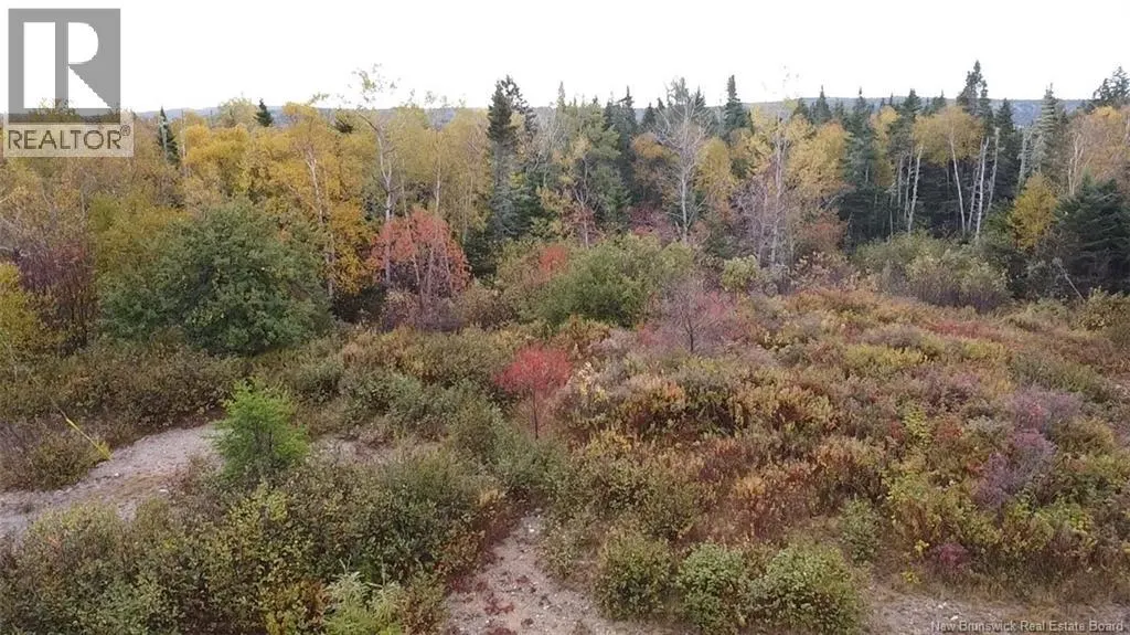 Lot Highway 1