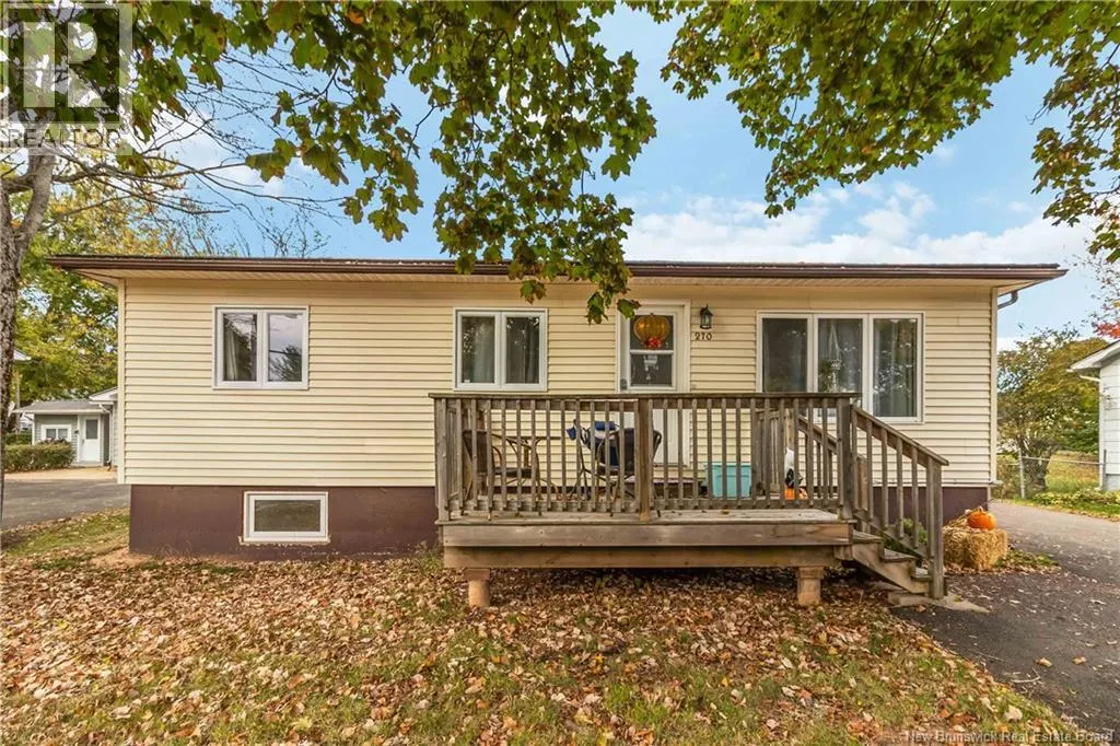 270 Whitepine