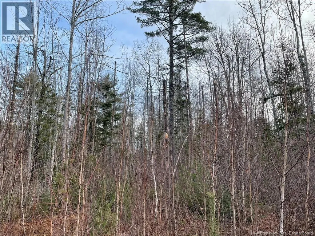 Lot 1 Route 105