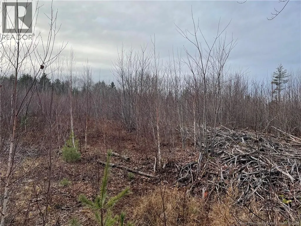 Lot 1 Route 105