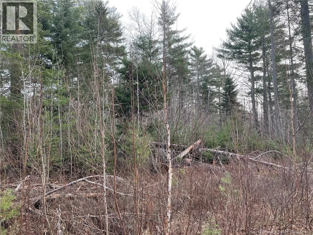 Lot 1 Route 105