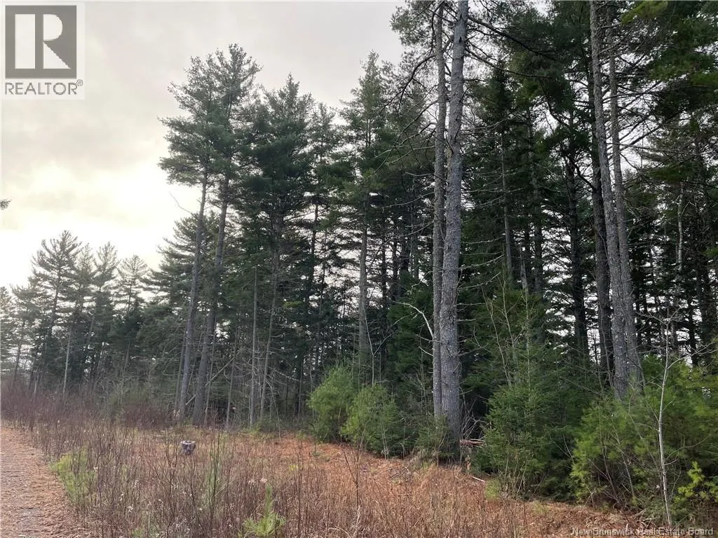 Lot 1 Route 105