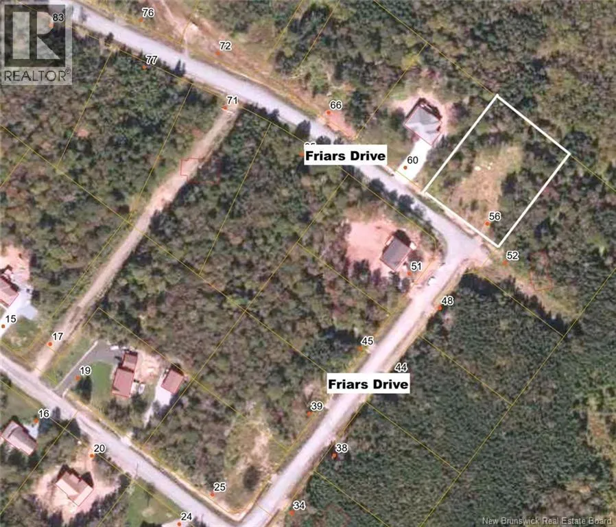 Friars Drive