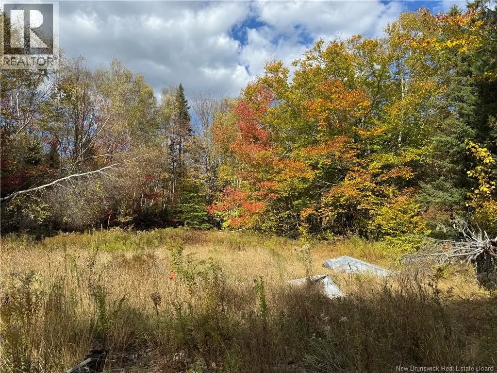 60 Bettsburg Road
