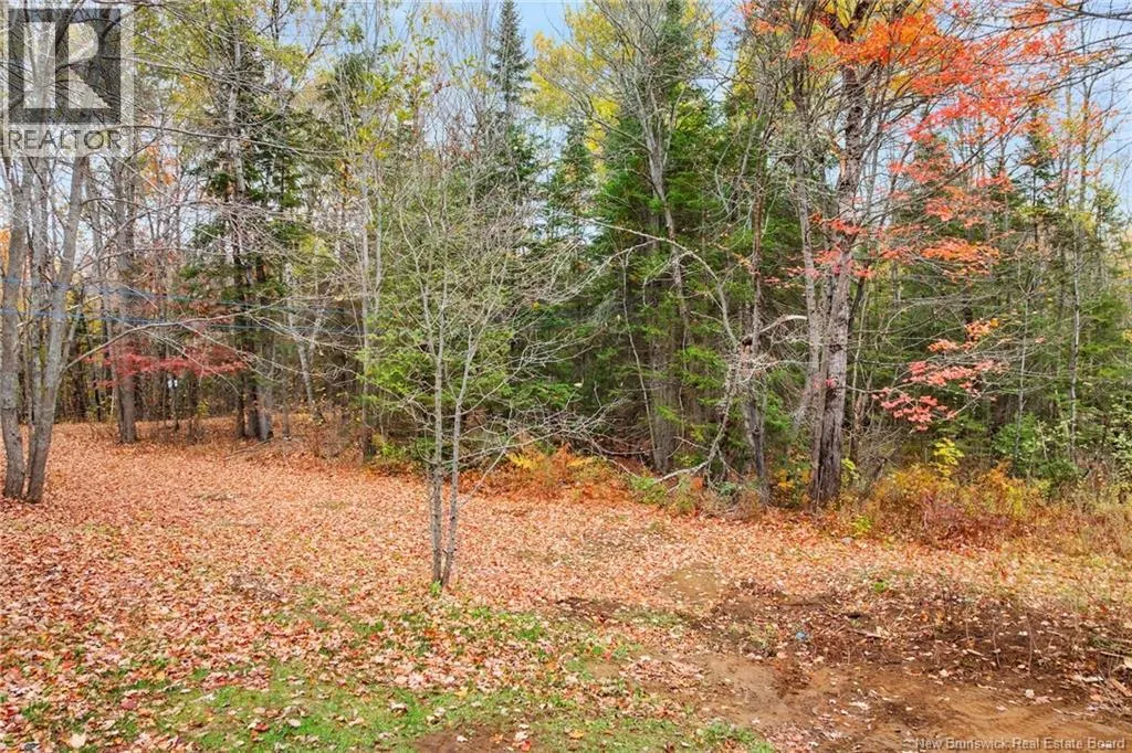 51 Dufferin Road