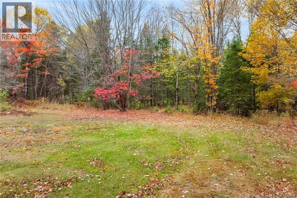 51 Dufferin Road