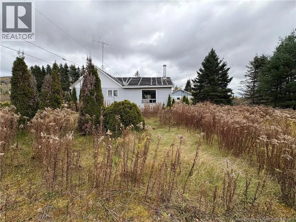 11 Deleavy Road