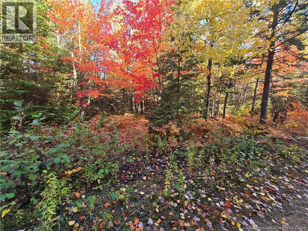 lot route 113