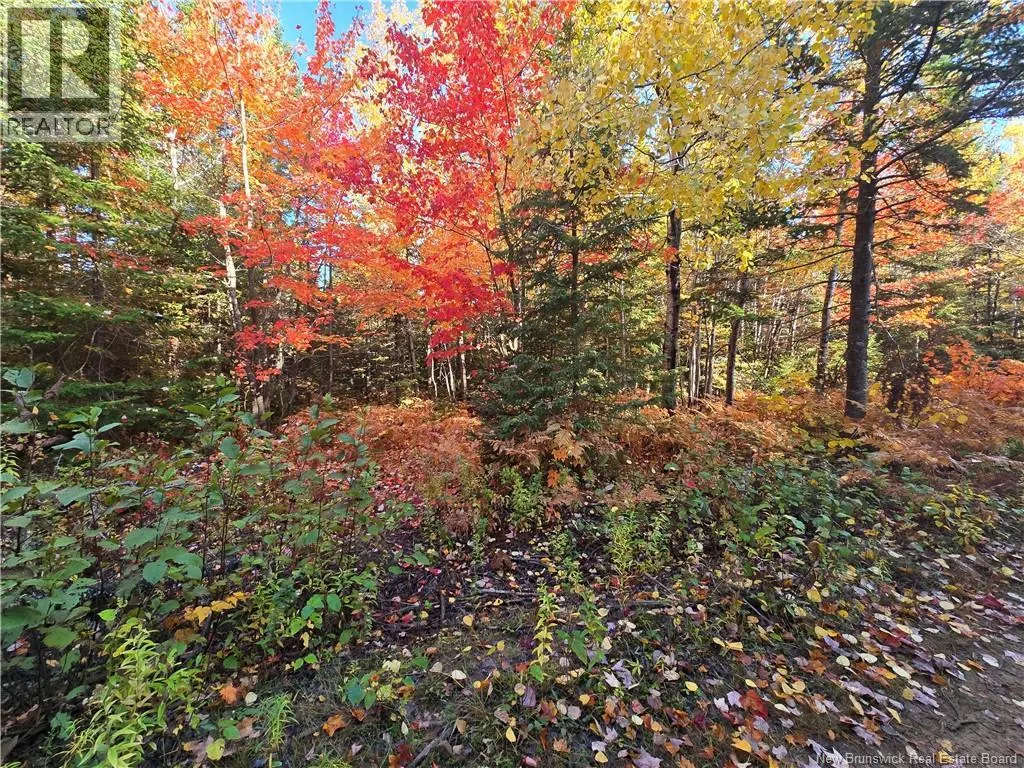 3.6 acres Route 113