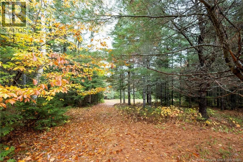 36 Deerwood Drive