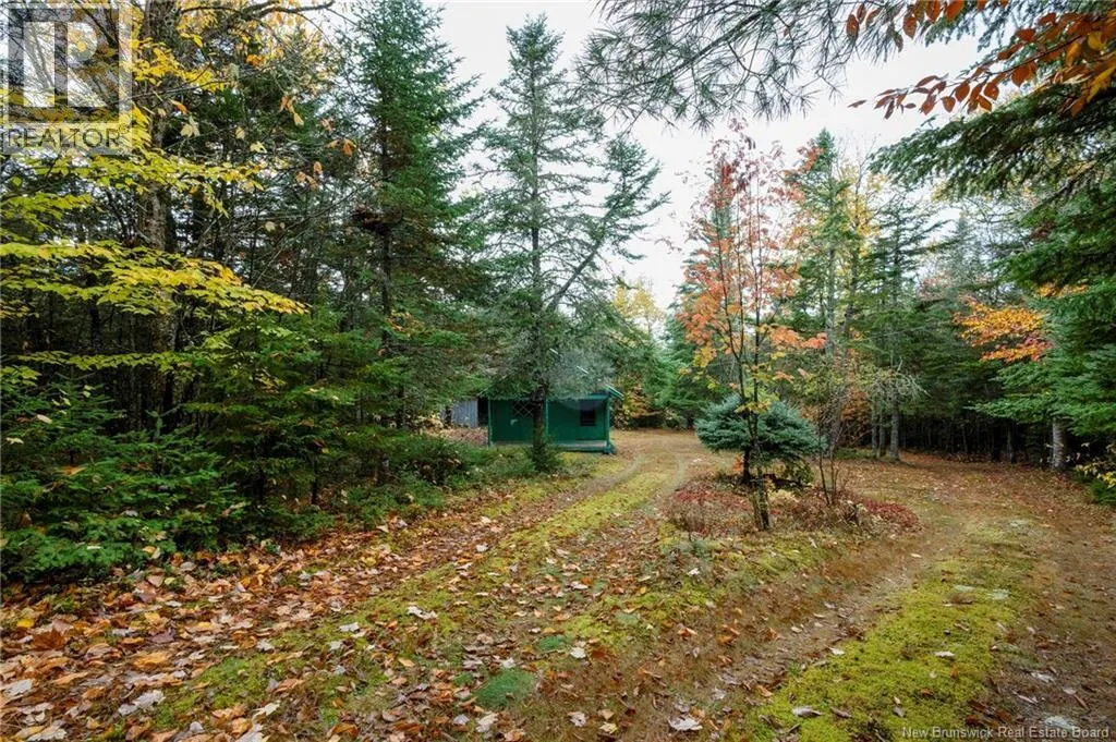 36 Deerwood Drive