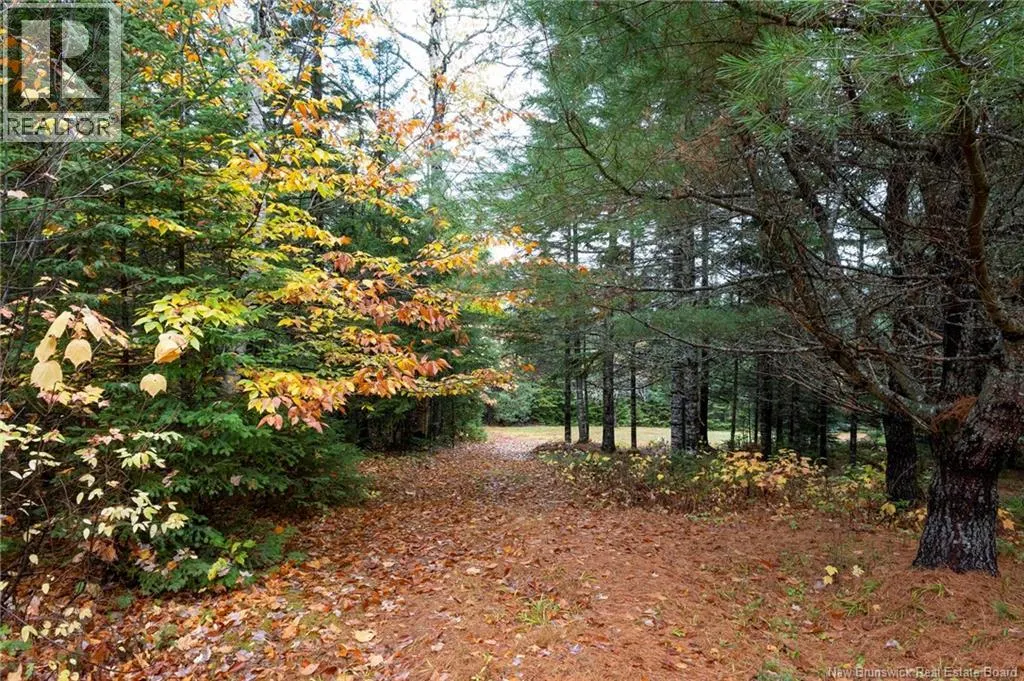 36 Deerwood Drive