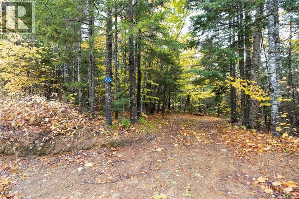 36 Deerwood Drive
