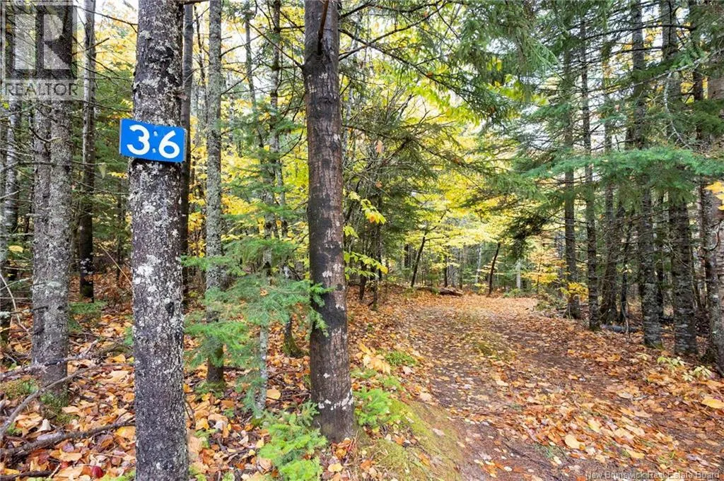 36 Deerwood Drive