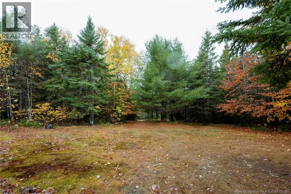 36 Deerwood Drive